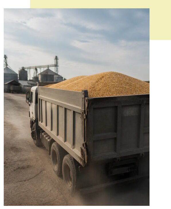 Перевозка сельхозпродукции навалом в Якутск по цене от 3125 р. | Агросервис-Ктс